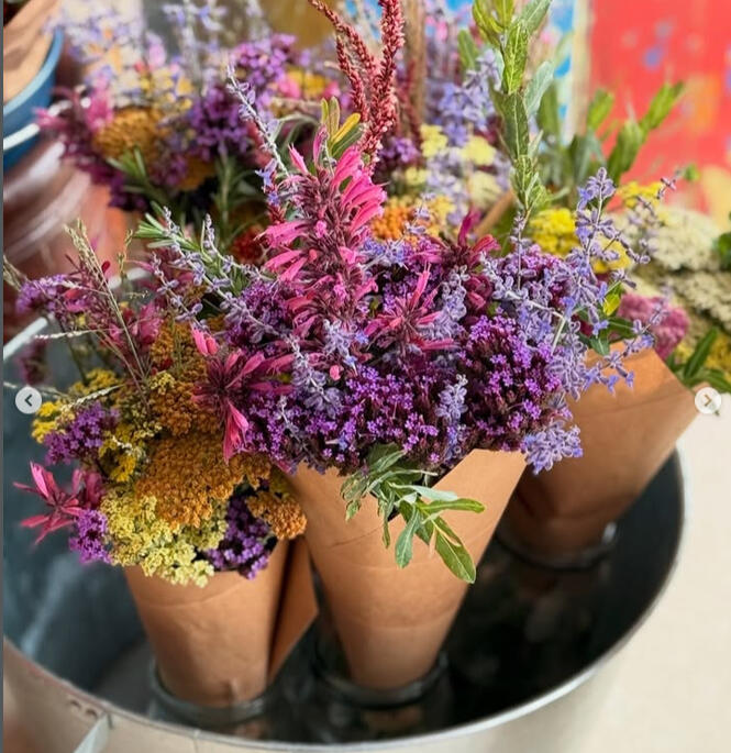 Little River Farm