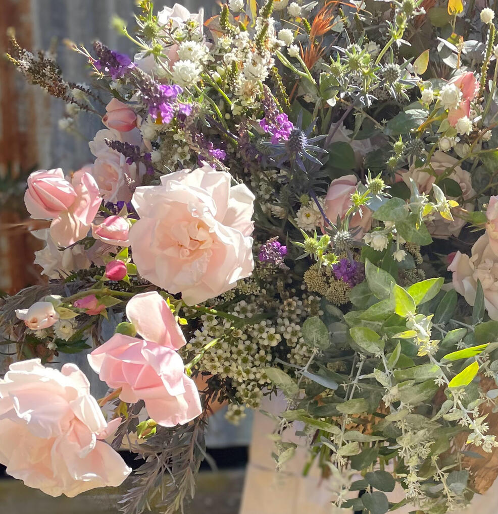 Bush Moon Flowers